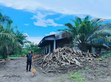 ลงพื้นที่ตรวจเยี่ยมการดำเนินงานและให้กำลังใจแก่เจ้าหน้าที่และบุคคลากร ณ สหกรณ์กองทุนสวนยางบ้านคลองโตนพัฒนา จำกัด ... พารามิเตอร์รูปภาพ 4
