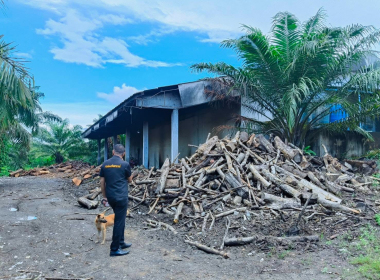 ลงพื้นที่ตรวจเยี่ยมการดำเนินงานและให้กำลังใจแก่เจ้าหน้าที่และบุคคลากร ณ สหกรณ์กองทุนสวนยางบ้านคลองโตนพัฒนา จำกัด ... พารามิเตอร์รูปภาพ 33