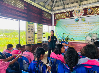 โครงการอบรมเชิงปฏิบัติการเพื่อเสริมสร้างความรู้และพัฒนาทักษะในการ ทำการเกษตร ภายใต้โครงการขยายผลเกษตรเพื่ออาหารกลางวันตามแนวพระราชดำริ ... พารามิเตอร์รูปภาพ 3