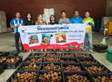 ลงพื้นที่ติดตามการรวบรวมผลไม้ของสมาชิก ... พารามิเตอร์รูปภาพ 7