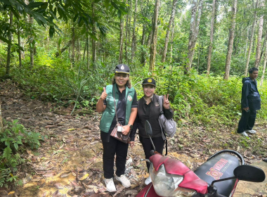 ประชุมและลงพื้นที่จัดทำข้อมูลชุมชนนำร่องประกอบการศึกษากำหนดแนวทางมาตรการและกระบวนการ การจัดที่ดินทำกินให้ชุมชน ในรูปแบบโฉนดชุมชนภายใต้คณะกรรมการนโยบายที่ดินแห่งชาติ ในพื้นที่จังหวัดตรัง ... พารามิเตอร์รูปภาพ 18