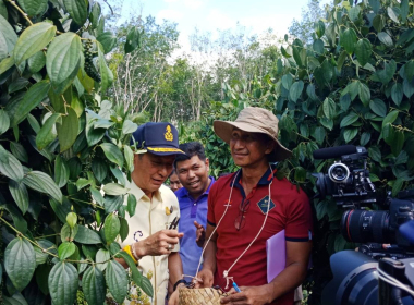 ลงพื้นที่ ตรวจสอบกระบวนการผลิตสิ่งบ่งชี้ทางภูมิศาสตร์ GI ... พารามิเตอร์รูปภาพ 11