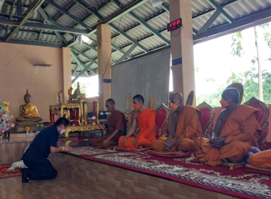 โครงการ คลินิกเกษตรเคลื่อนที่ในพระราชานุเคราะห์ ... พารามิเตอร์รูปภาพ 12