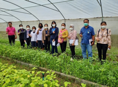 ติดตามโครงการขยายผลเกษตรเพื่ออาหารกลางวันตามแนวพระราชดำริจังหวัดตรัง ... พารามิเตอร์รูปภาพ 6