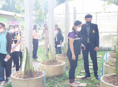 ติดตามโครงการขยายผลเกษตรเพื่ออาหารกลางวันตามแนวพระราชดำริจังหวัดตรัง ... พารามิเตอร์รูปภาพ 9