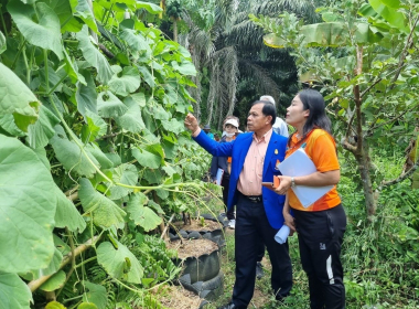 ติดตามผลการดำเนินงานโครงการขยายผลเกษตรเพื่ออาหารกลางวันในโรงเรียนตามแนวพระราชดำริ จังหวัดตรัง ปี 2566 ... พารามิเตอร์รูปภาพ 9